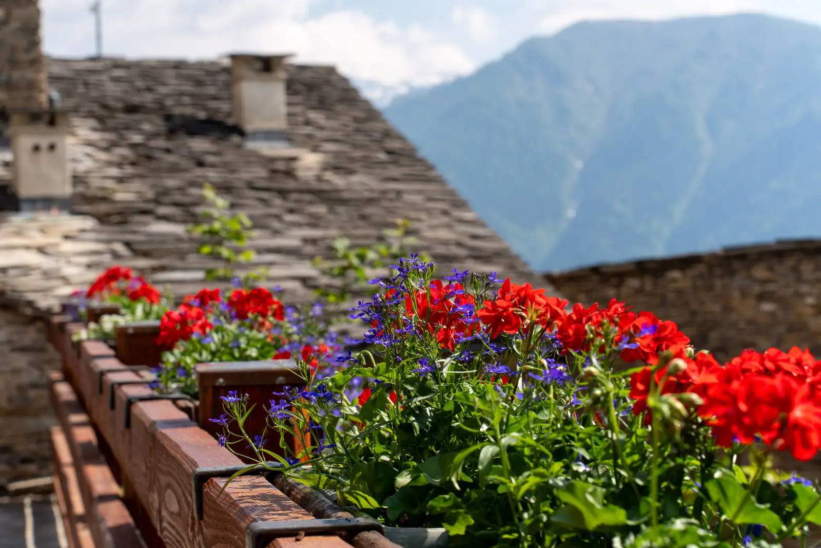 Fioriere di gerani e lobelie su un balcone in legno, davanti ai tetti in pietra della borgata e alle montagne della Valle Maira