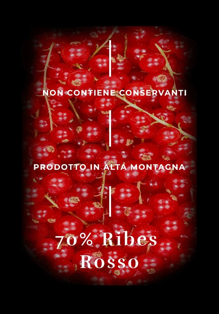 Design ingredienti composta ribes rosso