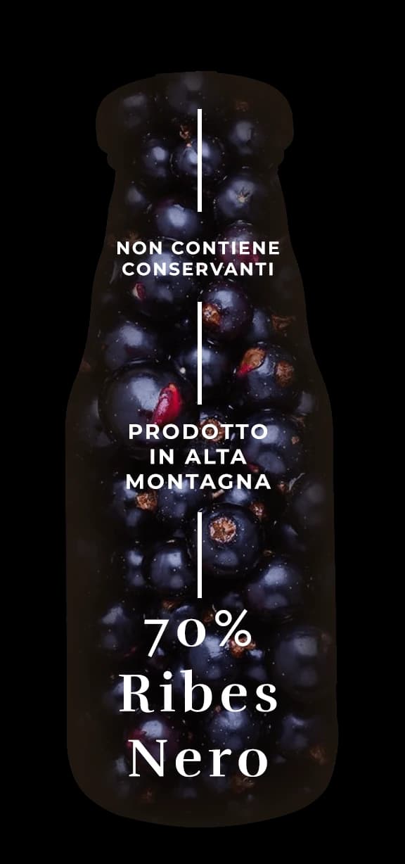 Design ingredienti succo ribes nero