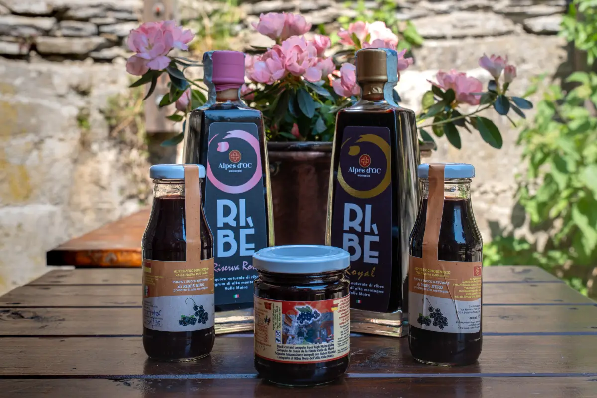 Succhi di ribes nero e bottiglie di Ribè su un tavolo di legno accanto a un'azalea