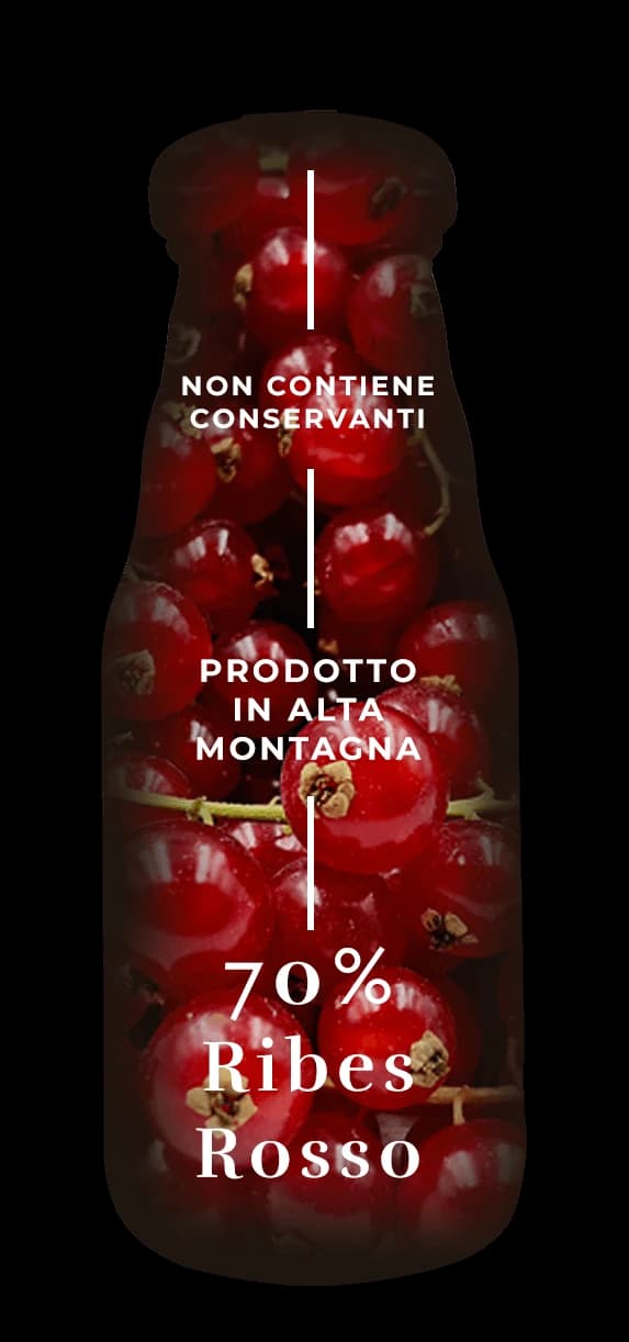 Design ingredienti succo ribes rosso